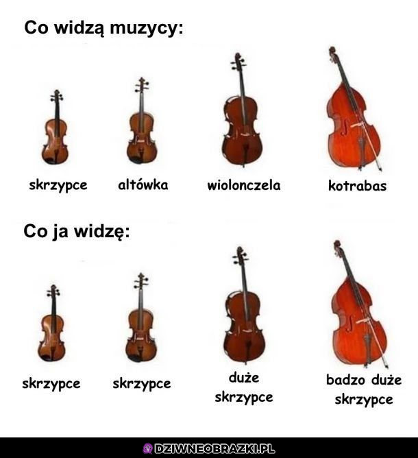 Właśnie tak to widzę