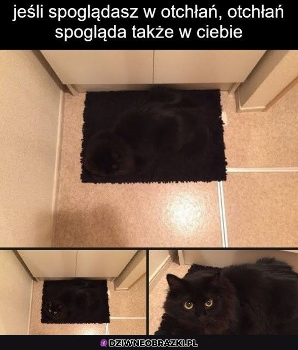 Przyczajone kitku