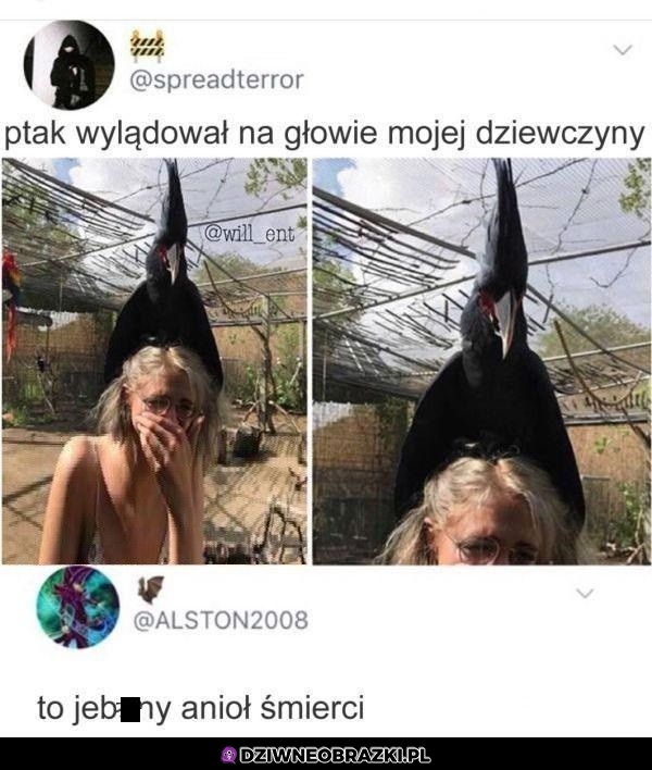 Ptaszek