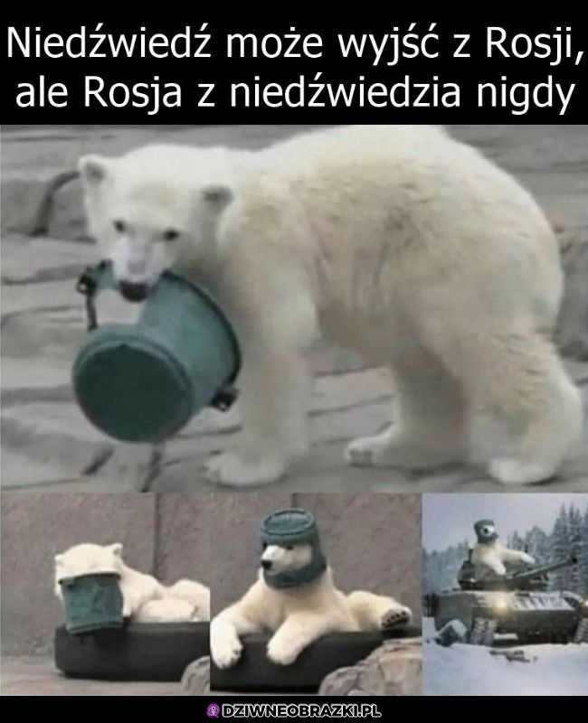 Ruski niedźwiedź