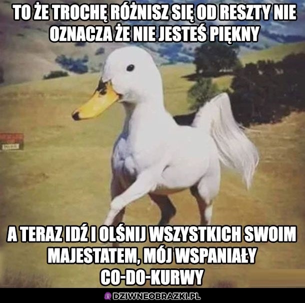 Majestatyczny