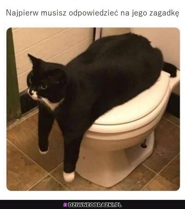 Sfinks pilnujący