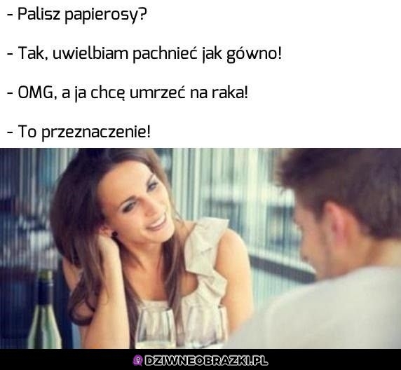 Fajeczki