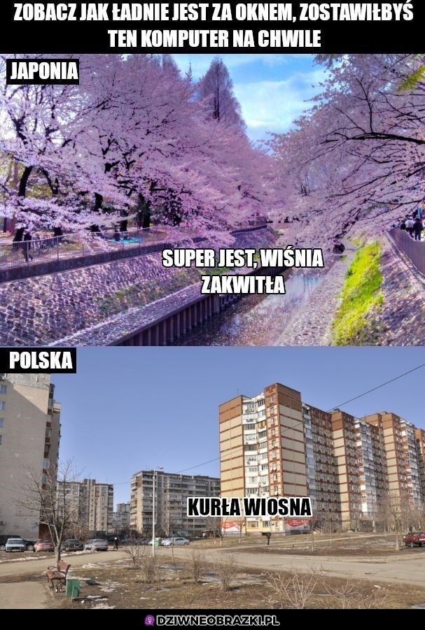 Zobacz jak ładnie