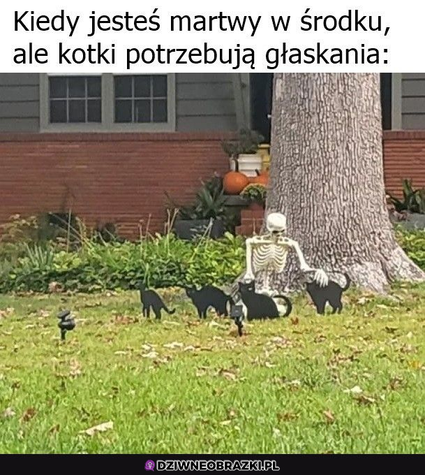 Na to zawsze znajdę