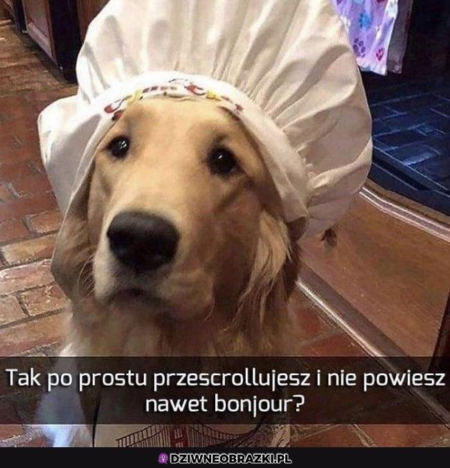 No powiedz