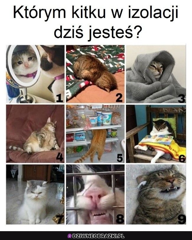 Którym jesteś?