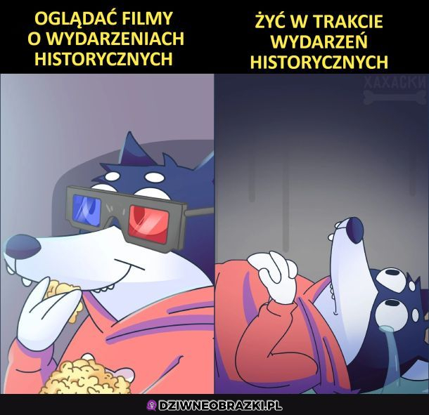 Żyćko