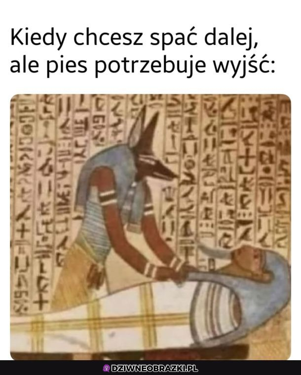 Nie ma spania