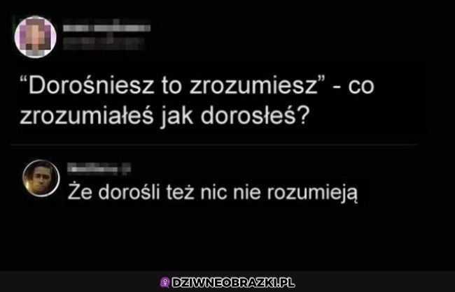 A Ty co zrozumiałeś?