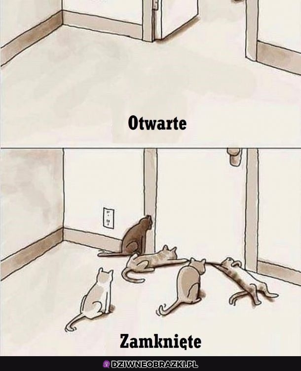 Zawsze to samo