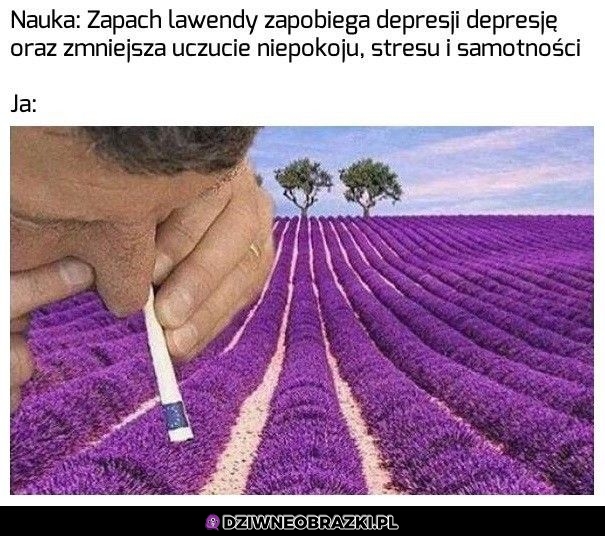 Zapach lawendy