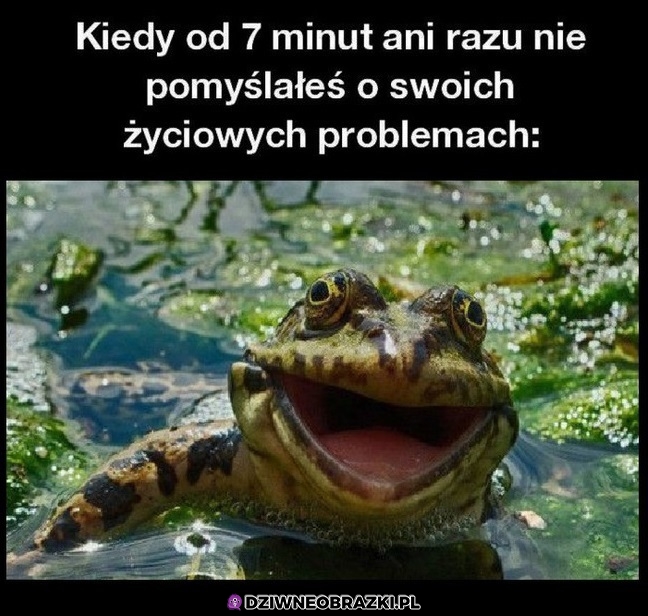 Nareszcie chwila szczęścia