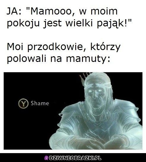 Wstyd