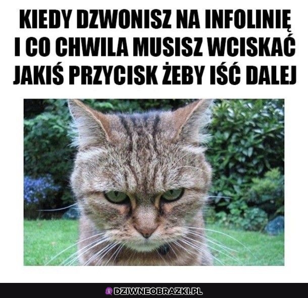 Ten uczuć
