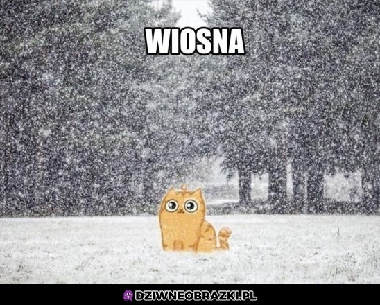 Wiosna?