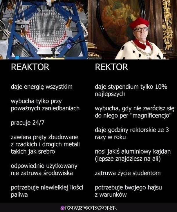 Reaktor vs Rektor