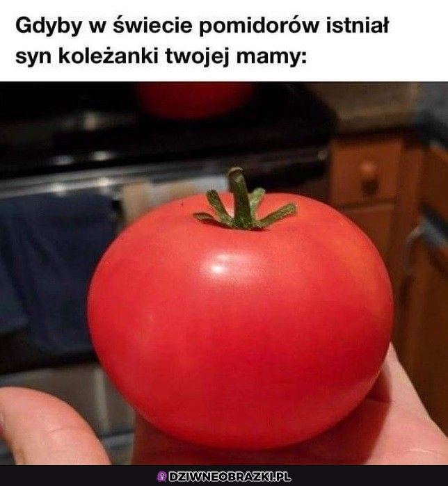 Pomidorek