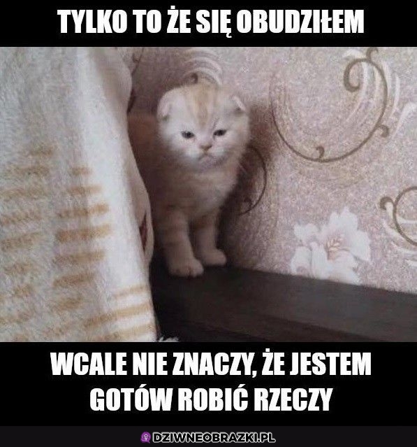 Własnie
