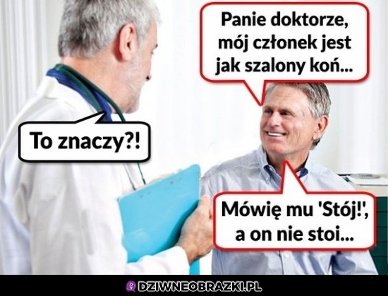 Jak koń