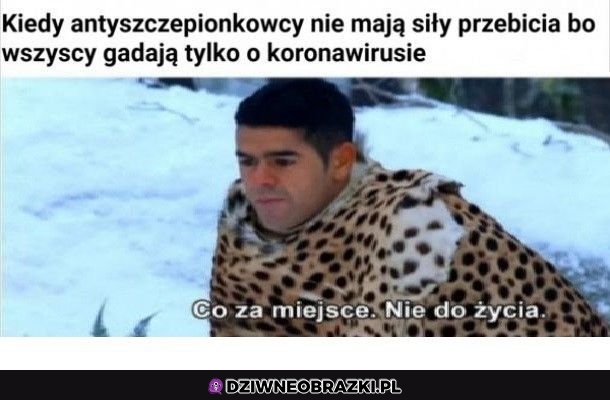 Jak tu żyć teraz