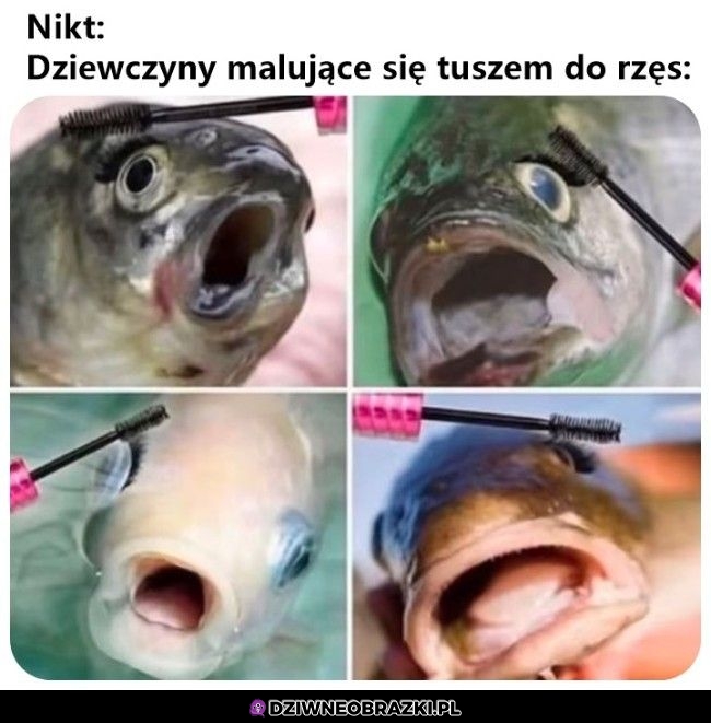 Taki ich wygląd