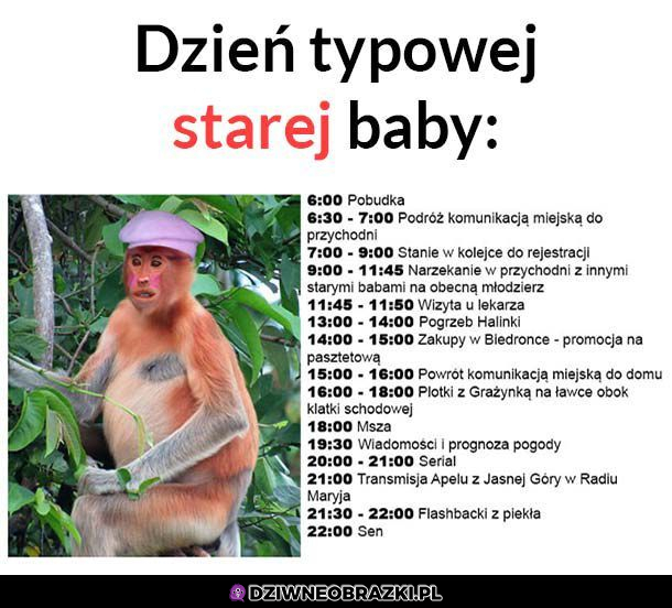 Z życia starej baby