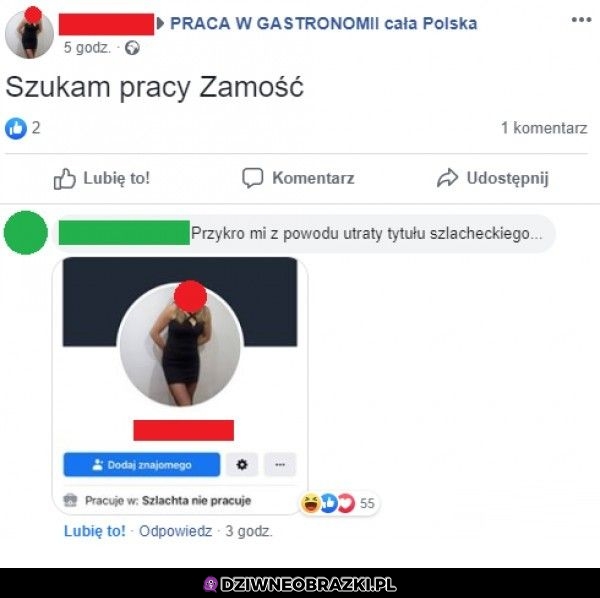 Poszukiwania pracy