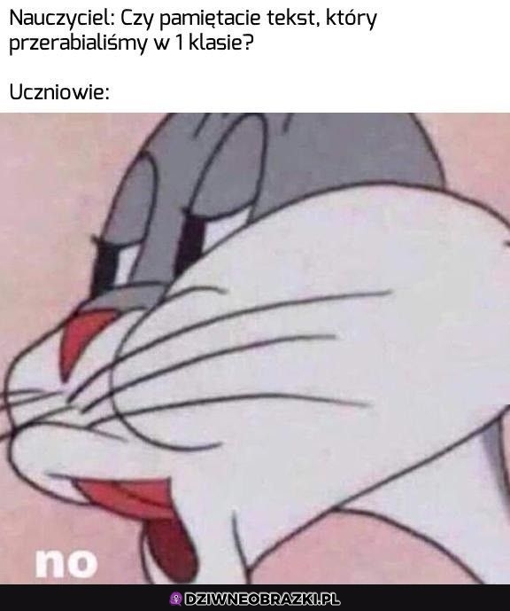 Oczywiście, że