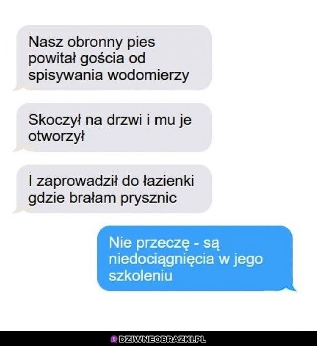 Wspaniały pies obronny