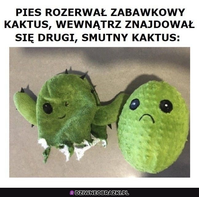 No i fajnie