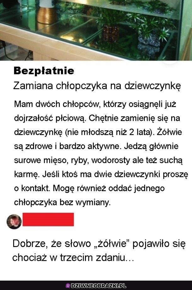 To naprawdę dziwne ogłoszenie
