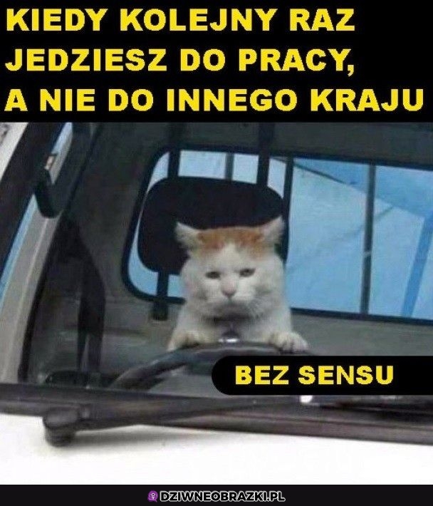 Ten moment