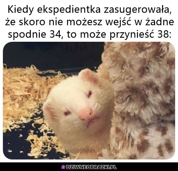 Nie Nie