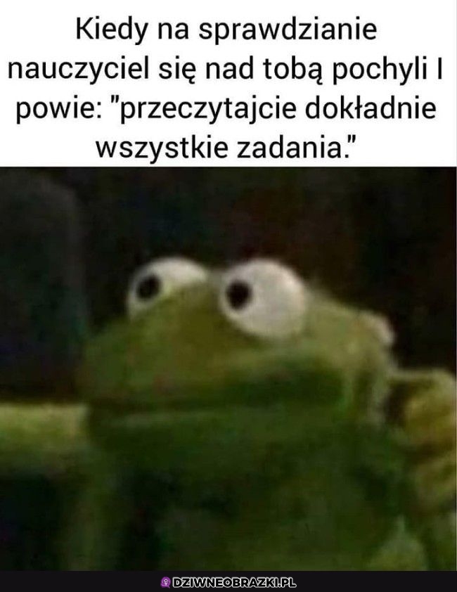 Ta panika