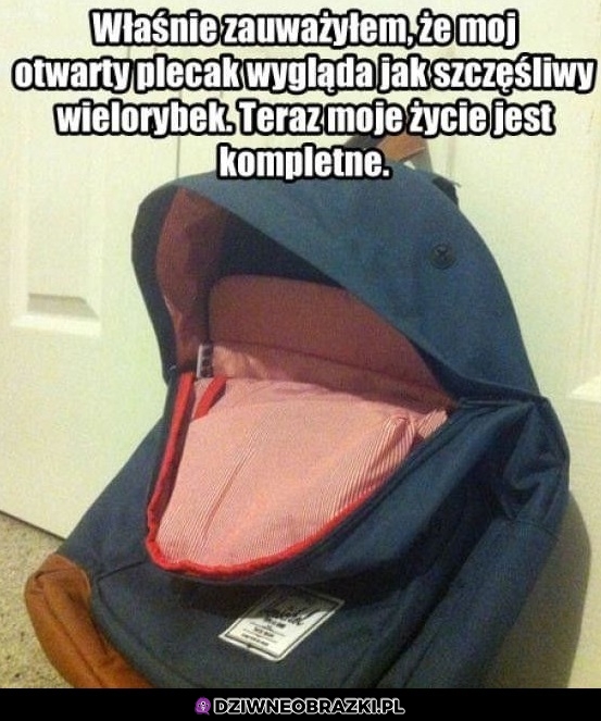 Zadowolony plecaczek