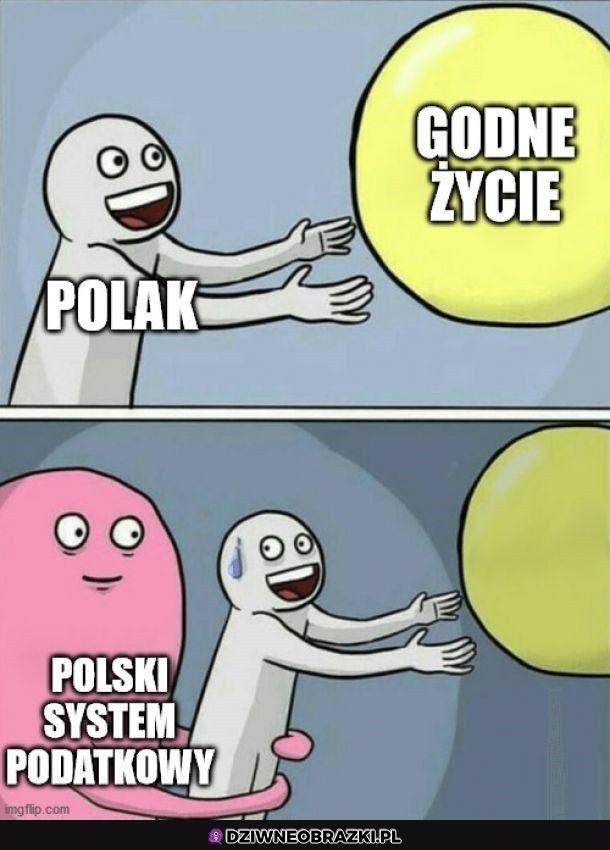 Tak to wygląda