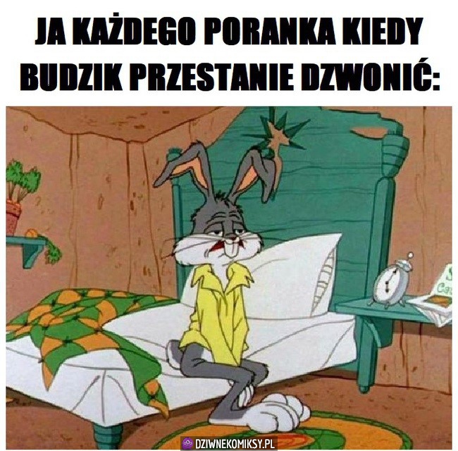 I tak każdego dnia