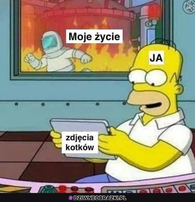 Najważniejsze