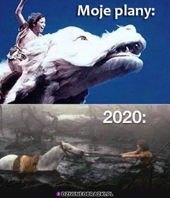 Tyle wyszło