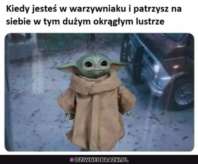 Ten moment Ten moment