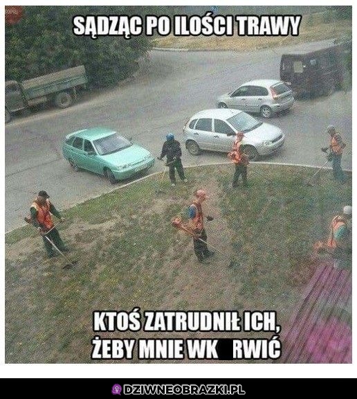 Ciekawe co tam koszą