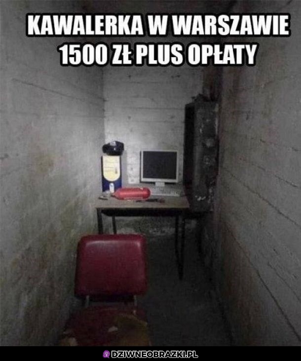 Kawalerka w Warszawie