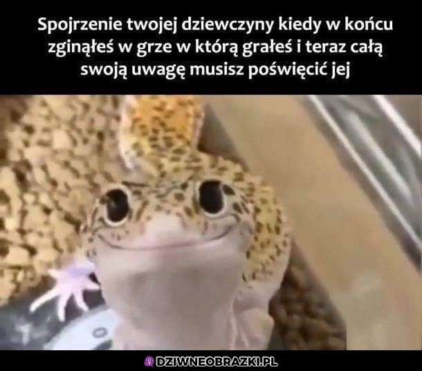To spojrzenie