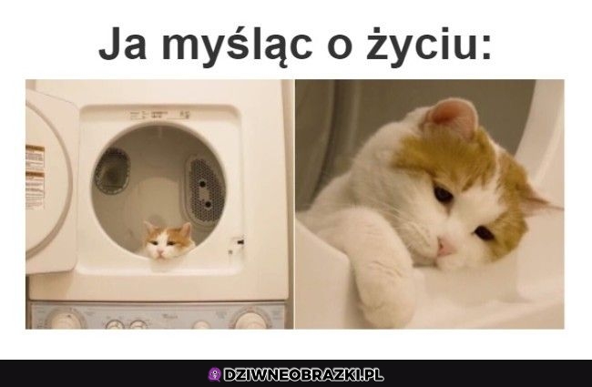 Kiedy myślę o życiu