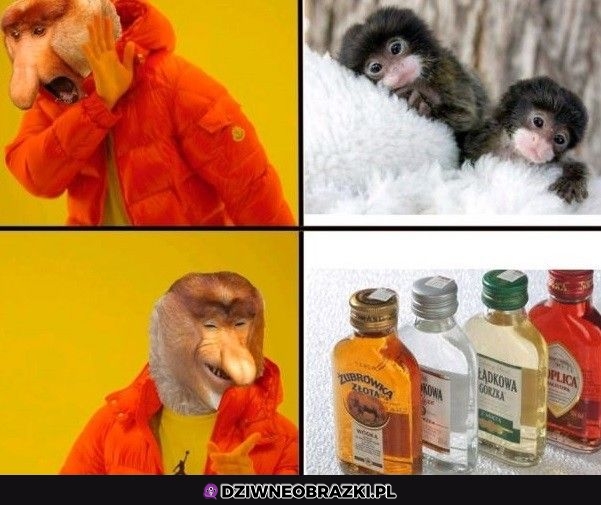 Wiadomo które lepsze