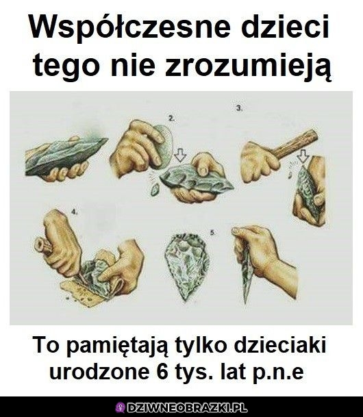 Nie zrozumieją