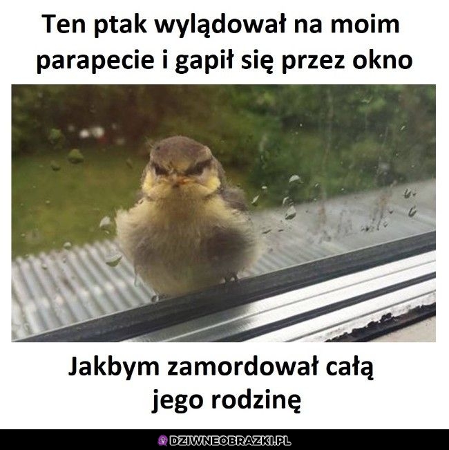 Tak było