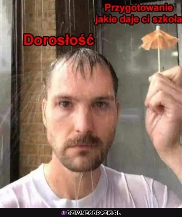 Dziękuję szkoło