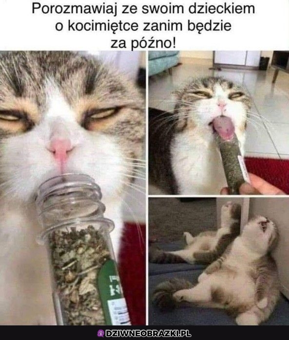 Porozmawiaj!